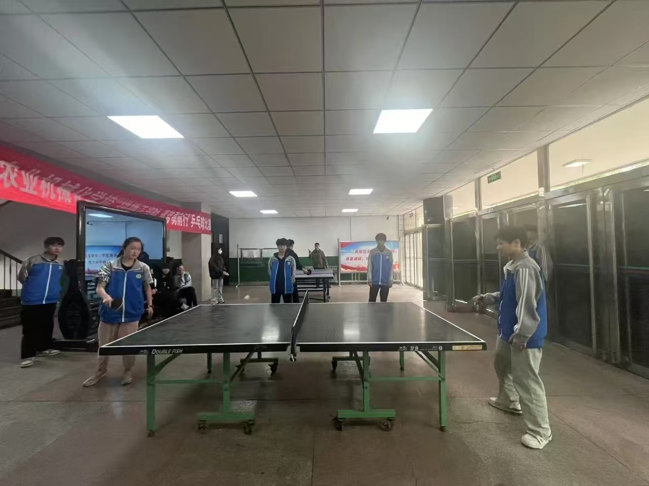 乒乓2.jpg 乒乓2.jpg